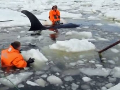 Vídeo del Ministerio de Emergencias ruso que muestra el rescate.