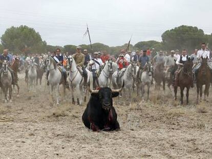 El Toro de la Vega de Tordesillas.