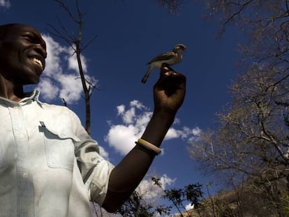 Primeiro caso de comunicação entre seres humanos e animais selvagens