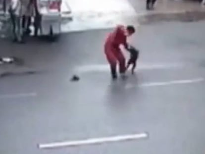 Un perro furioso ataca a 23 personas en China, incluída la policía