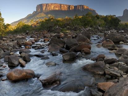 El tepui Roraima recibe entre 3.000 y 4.000 visitantes al año.