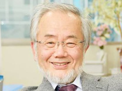 Yoshinori Ohsumi, ao saber que havia recebido o prêmio Nobel.