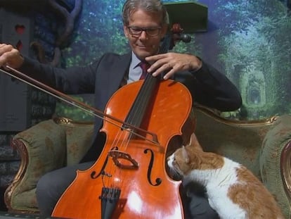 El disco para gatos que lidera las ventas de música clásica