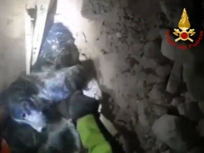 El rescate de un perro entre los escombros del terremoto de Italia