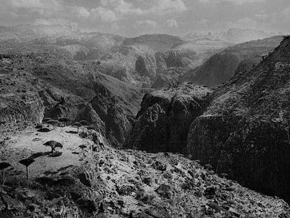 La isla de Socotra, fotografiada desde sus remotas montañas, se extiende cubierta de una extraña vegetación y de raras leyendas a las que son muy aficionados sus habitantes.
