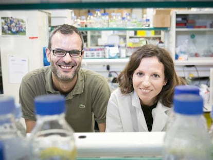 Salvador Aznar y Gloria Pascual, investigadores del IRB. / IRB / WORLDWIDE CANCER RESEARCH /EPV