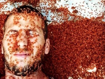 Joel Thomas en medio de bebés cangrejos rojos. En vídeo, la travesía de los crustáceos.