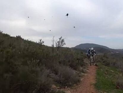 Ataque de abejas a un grupo de ciclistas