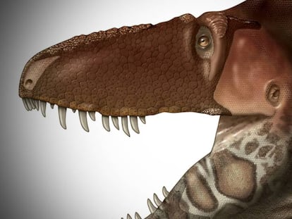 Reconstrucción de la cabeza del 'Daspletosaurus horneri', el nuevo miembro de la familia de los tiranosaurios.