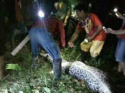 La pitón y Mr. Akbar