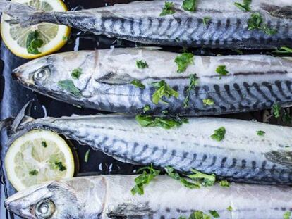 No tiene ni idea de lo que es saludable