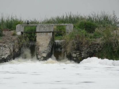 Una de las zonas contaminadas del Río Santiago.