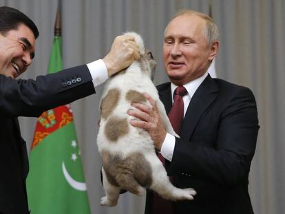 El presidente de Turkmenistán entrega a Putin el cachorro.