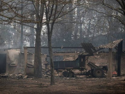 Lugar en el que ha fallecido un septuagenario víctima del fuego, en Ourense.