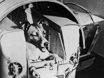 El 'Sputnik 2' con la perra Laika a bordo
