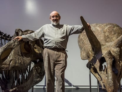 El catedrático de Paleontología José Luis Sanz, entre ejemplares de dinosaurios y criaturas prehistóricas en el Museo de Ciencias Naturales de Madrid. 