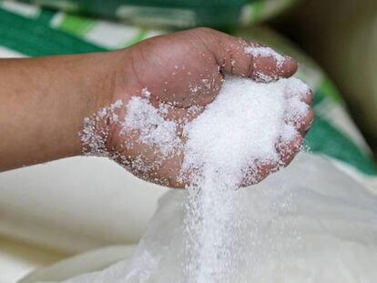 La industria del azúcar ha ocultado durante alrededor de 50 años estudios efectuados con animales que sugerían los efectos negativos que la sacarosa tiene en la salud.