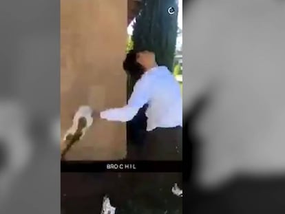 El joven detenido, a punto de lanzar a la gata.