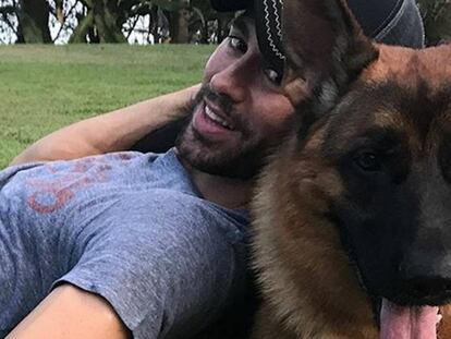 Pincha en la foto para ver los 20 segundos del vídeo que ha publicado Enrique Iglesias con su perro Max.