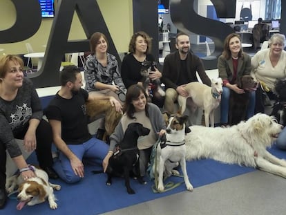 Un día de perros en la oficina