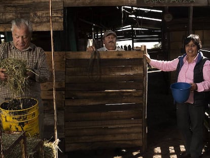 Astrid Orjuela. Un centro genético para lograr la cabra perfecta