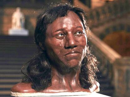Foto facilitada por el Museo de Historia Natural de Londres que muestra el rostro del llamado "Hombre de Cheddar".