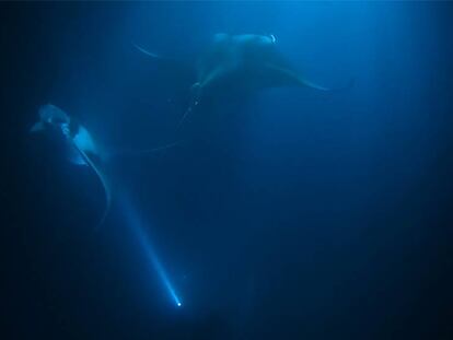 Bailando con mantas a 25 metros de profundidad y sin respirar