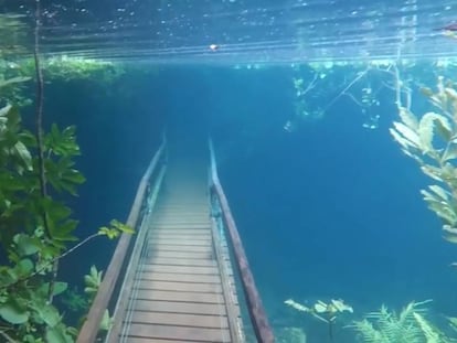 El agua cubre el paisaje en el Recanto Ecológico Rio da Prata ('Río de la Plata').