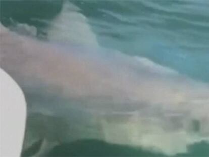 Fotograma del vídeo grabado por uno de los pescadores.
