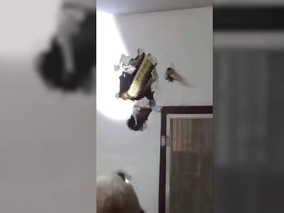 Vídeo de la extracción de la serpiente.