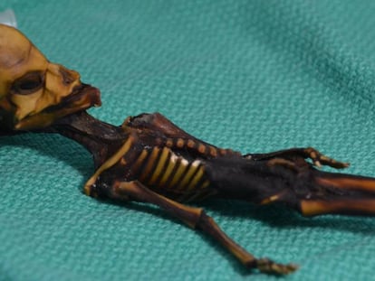 La pequeña fue encontrada momificada tras la iglesia de un pueblo minero abandonado.