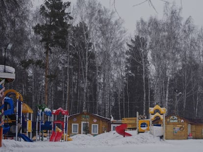 Los científicos se refugiaban en este sorprendente bosque de Siberia