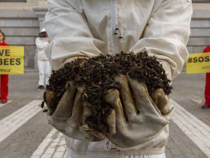 Un activista de Greenpeace muestra abejas muertas en la puerta del Ministerio de Agricultura, en Madrid, este martes. En vídeo, declaraciones de la portavoz de la Comisión Europea.