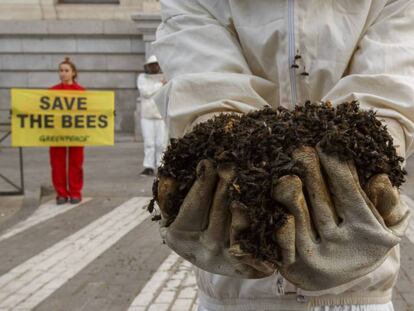 Un activista de Greenpeace muestra abejas muertas en la puerta del Ministerio de Agricultura, en Madrid, este martes. En vídeo, declaraciones de la portavoz de la Comisión Europea.