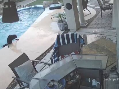 Momento en el que Remus saca de la piscina a Smokey.
