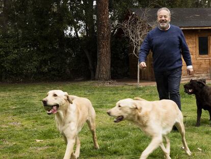 El clan canino de Tito Valverde