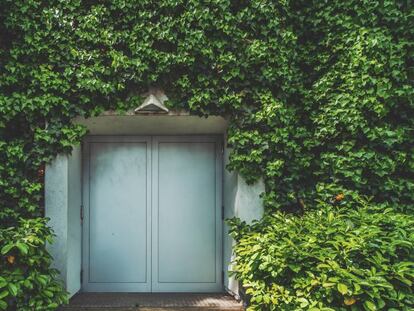 La universidad debate sobre el verde en las ciudades