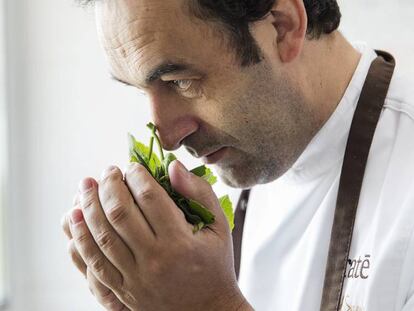 Fernando Sáenz huele las hojas con las que elabora su demandado helado de sombra de higuera.