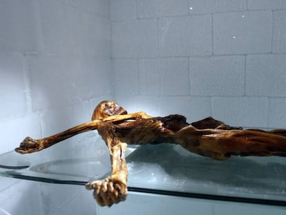 Momia de Ötzi, en el Museo Arqueológico de Bolzano (Italia).