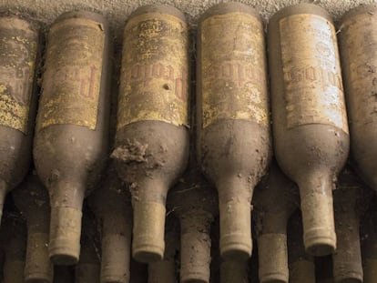 Unas viejas botellas duermen en la bodega de Protos, la cooperativa más antigua de la Ribera del Duero, situada en Peñafiel, Valladolid.