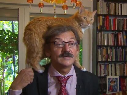 Momento en el que el animal interrumpe la entrevista.