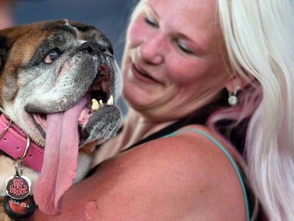 'Zsa Zsa' y su dueña, en junio, cuando la perra ganó el galardón del perro más feo del mundo.
