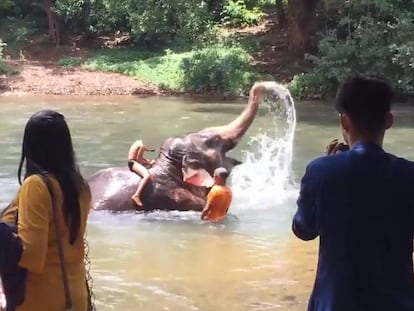 Un elefante salpica con su trompa a un niño subido encima de él.