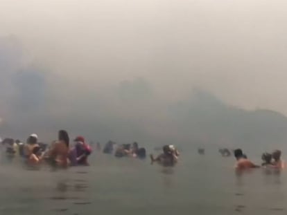 Supervivientes de los incendios de Grecia muestran en grabaciones caseras cómo escaparon de las llamas