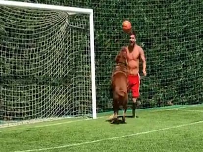 Messi le hace un 'sombrerito' a su perro 'Hulk' en el vídeo publicado por su mujer, Antonella Roccuzzo, en Instagram.