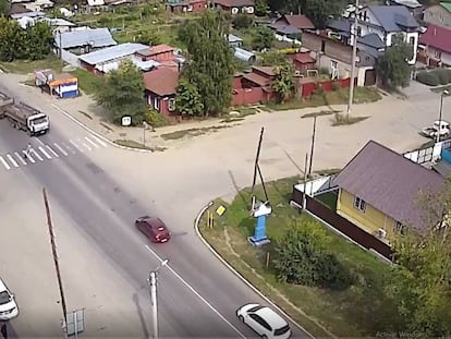 En vídeo, cómo un perro salva a su dueña de ser atropellada por un camión en Bisk, Rusia