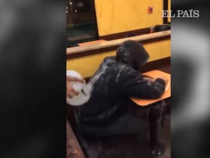 En vídeo, los trabajadores de una sucursal de Dunkin' Donuts en Nueva York han sido despedidos tras agredir a un indigente