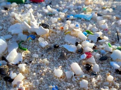 Pequeños fragmentos de plástico, dispersos entre la arena de la playa.