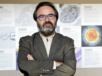 El biólogo Lluís Montoliu, del Centro Nacional de Biotecnología, en Madrid. En vídeo, bebés modificados genéticamente en China: ¿bulo o ciencia?
