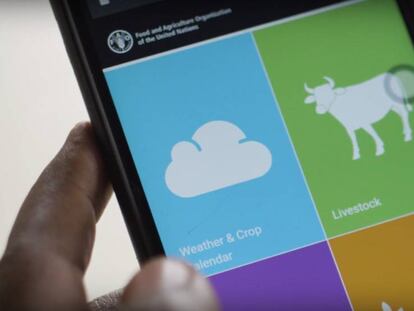 Vídeo sobre innovación en la agricultura africana publicado por la FAO.